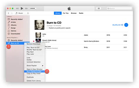 Can You Burn CDs from Apple Music? An Examination of the Pros and Cons.