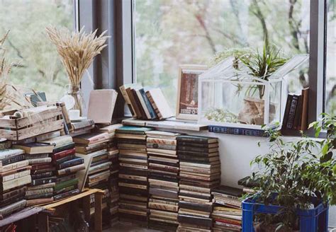 how to store books in a small space and why you should consider minimalist book collections