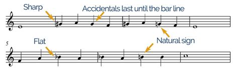 What is Accidental in Music: A Symphony of Chaos and Order